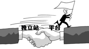 獨立站 扛得起責(zé)任，對得起信任的站外引流之道